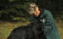 Temps de chien